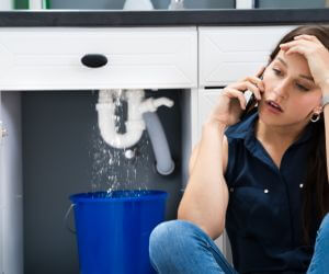 About Emergency plumbing pros Muncy Valley, PA